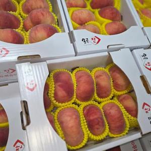 거반도 납작복숭아 꿀복숭아 1kg
