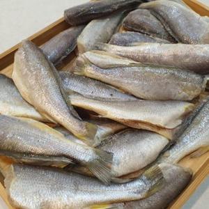 국내산 영광 법성포 두절굴비 소 600g