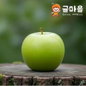 귤마을 국내산 썸머킹 청사과 대과 3kg 9-12과내
