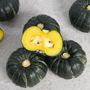호정 함평 미니 밤호박 5kg