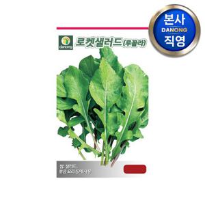 로켓샐러드 (루꼴라) 씨앗 12g . 원예 야채 쌈채소 씨 종자 텃밭 재배.