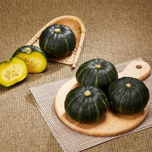 제철 제주 미니밤단호박 4.5kg (상품 중소과 15-45개)