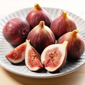 25년 햇 영암 홍무화과 1kg(10~15과)