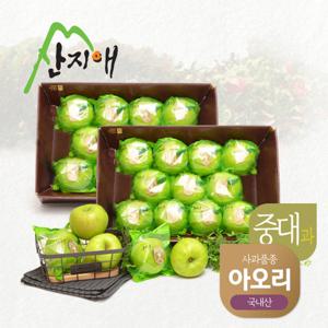 산지애 씻어나온 초록사과 2.7kg 2box / 봉지 세척사과, 아오리 사과