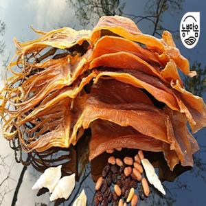 [산지직송] 남해 쫄쫄이 오징어 중소 5마리 250g