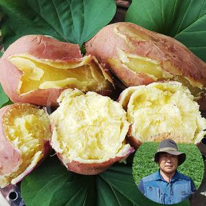 [산지장터]25년 해남 해풍고구마 달인 전태식  햇 토종 밤고구마 3kg(중상) x 2박스