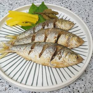 산지직송 남해안 햇 가을 전어 1kg 10-20미(구이용/급냉)