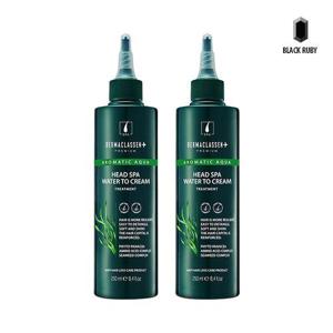 더마클라센 헤드스파 워터 탈모케어 트리트먼트 250ml x2
