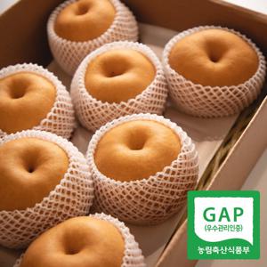 [과일꾼]30년 경력 김재명 농부 25년 햇 나주배 특품 5kg 5-7과