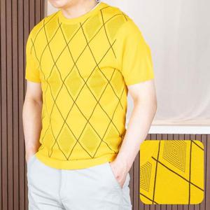 [중년의 품격]남성 아가일 체크 시원한 여름 반팔 라운드 니트티
