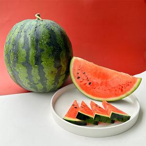 착한농부 정품 꿀수박 3-4kg