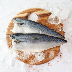 [산지직송] 제주 간편 손질고등어살(특대) 3kg