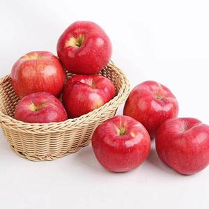 [잇담]빨간사과 2kg 실속형 중소과 10-12과 내외