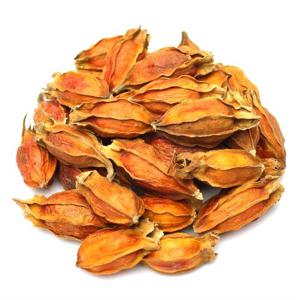 국산 치자(통) 250g 건조 치자열매 치자물
