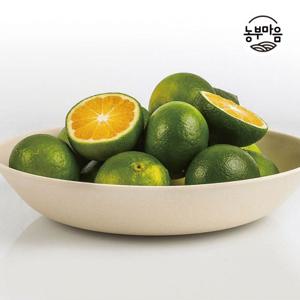 [농부마음]새콤달콤 제주 청귤 풋귤 5kg 로얄과