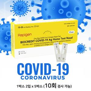 ★유통기한 26년 8월★  래피젠  2개입X5개 (총 10개입) 코로나 자가진단키트