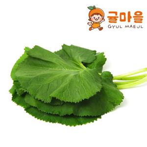귤마을 국내산 호박잎 1kg
