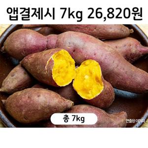 [해뜨레] 25년 햇 첫수확 고구마 총 7kg(3.5kg x 2박스)