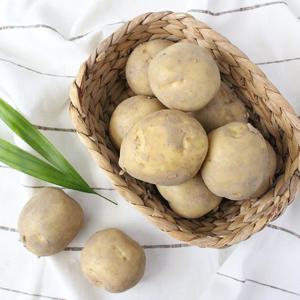 [팔도농장] 25년 수확 햇 수미감자(대) 10kg