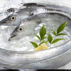 제주 성산포수협 은갈치 1.1kg / 5마리 (1마리당 4토막)