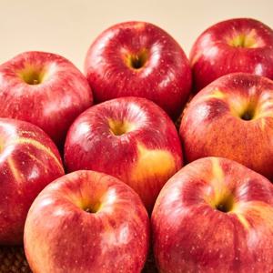경북 햇 홍로사과 정품 2kg (10-13과)