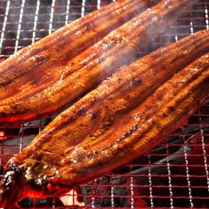 양념 민물장어 1kg 8마리 손질된 초벌구이
