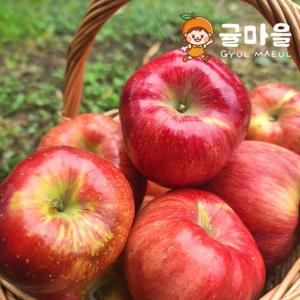귤마을 가정용 홍로 사과 대과 5kg 18과 내외