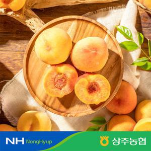 [상주농협]25년수확 햇 황도 복숭아 4kg  (과당중량 215g~285g / 박스당 14~19과 )