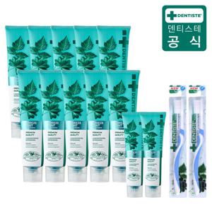 [헤비특가구성] 덴티스테 뉴 브리즈민트 치약 180g 10개+60g 2개+이중모 칫솔 2개