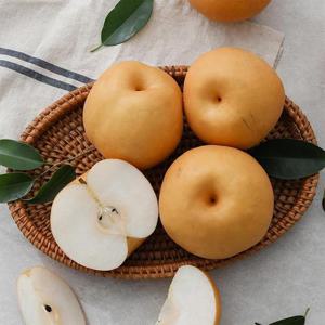 25년 햇배 나주배 가정용 5kg (8-9과)