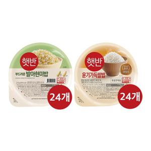 [CJ] 햇반 윤기가득쌀밥 210g x24개+발아현미밥 210g x24개