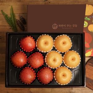 [감동 과일 선물세트] [자연의감동] 혼합과일 2호 사과5개+배5개 5kg