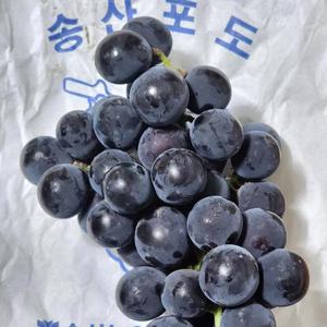 송산포도 캠벨포도 3kg