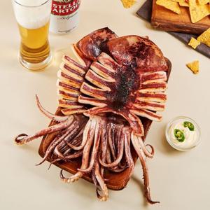 쫄깃한 원양산 반건조 오징어 (특특대) 5미 900g 내외