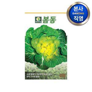 봄동 배추 씨앗 20g . 채소 겉절이 김장 가을 텃밭 파종 월동 씨 종자.