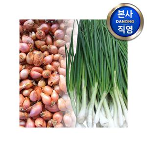 쪽파 종구 (씨앗) 500g . 야채 채소 텃밭 파종 재배 주말 농장 씨 종자.