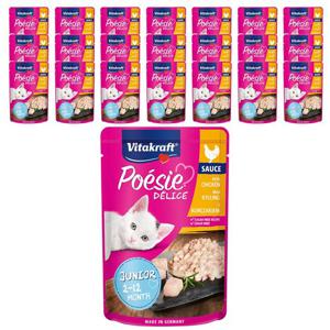 비타크래프트 고양이 습식사료 델리스 주니어 치킨 85g X 23개
