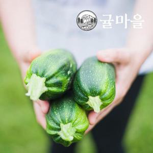 귤마을 가정용 애호박 10개 개당 400-500g
