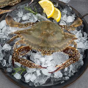 산지직송 달큰한 연평도 활 숫꽃게 2kg (6-10미/빙장포장)