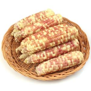 [뜰안애] 냉동 찐 홍찰옥수수 10개(16-18cm내외)