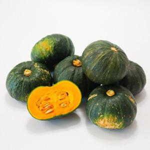 포미식탁 제주도 단호박 보우짱 미니 밤호박 로얄과 10kg