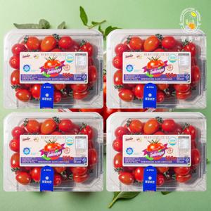 스테비아 대추 방울토마토 토망고 500g x 4팩 (2kg)