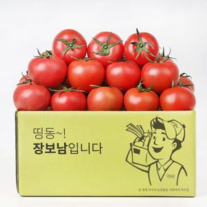 영양만점 국내산 완숙 찰토마토 3kg 5kg 토마토