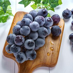 국내산 고당도 거봉포도 500g(1송이)/2kg (3-5송이) 씨없는 큰포도