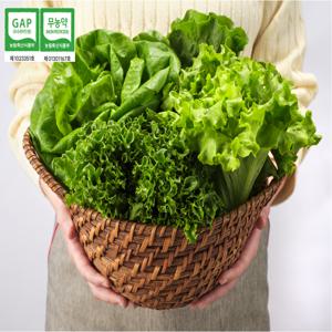 [무농약 GAP인증] 유러피안 샐러드 1kg 상추 (도시의푸른농장) 로메인 버터헤드 바타비아 바타아이스 프릴아이스