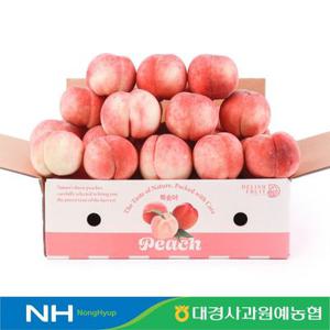 [당도선별] 경북농협 영천 딱딱이(백도) 복숭아 2kg 대과 중과