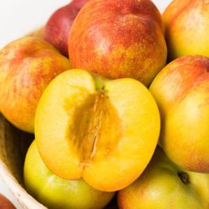 옐로우드림(망고복숭아) 1kg/2kg/3kg/5kg 황도식감의 천도복숭아