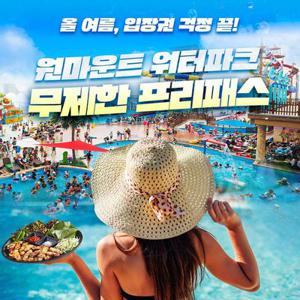 [일산] 원마운트 워터파크 여름패스권