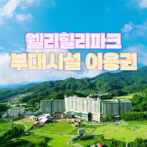 강원 웰리힐리파크 부대시설(루지/관광곤돌라/고카트/레이싱카트/플라잉라인/사계절썰매) 이용권(~9/7)