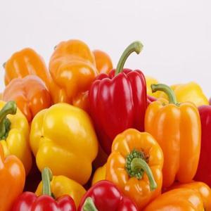 국내산 싱싱한 파프리카 피망 빨강 노랑 주황 산지직송 1kg 2kg 3kg